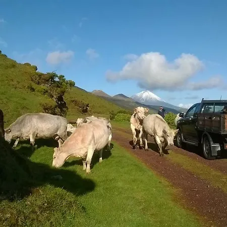 Сasa de vacaciones Alto Da Bela Vista