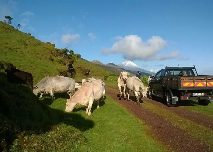 Ferienhaus Alto Da Bela Vista